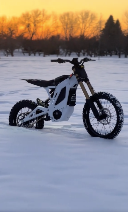 Eride Pro